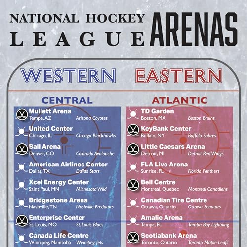Image of Hockey Puck Push Push Pins, for Cork Board, Maps, or Lapel Pin Use, Designed in The USA, Hockey Pins, Set of 32