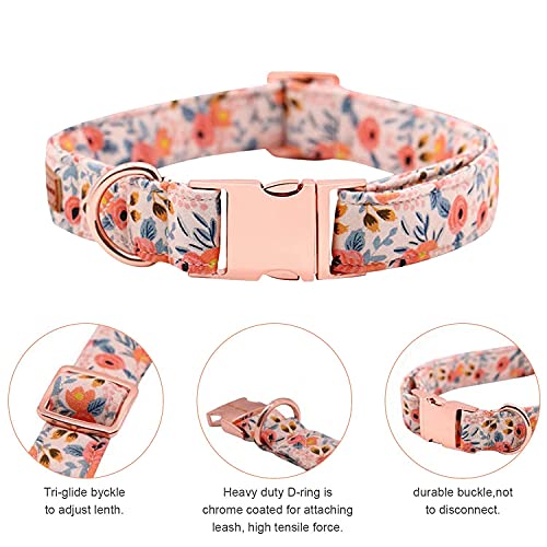Collares Y Correas, Pet Products Imagen adicional