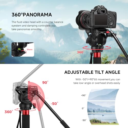Avella CD324 Carbon Fiber Video Monopod Kit, with Fluid Head and Removable feet, 71 Inch Max Load 13.2 LB for Canon Nikon Sony Olympus Panasonic DSLR Camera