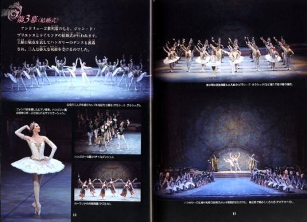 グラズノフ:バレエ「ライモンダ」全3幕 [DVD] ボリショイ劇場バレエ団 ボリショイ・バレエ グラズノフ：バレエ「ライモンダ」全3幕