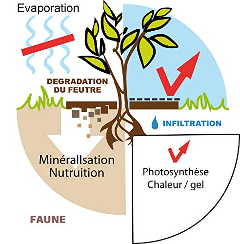 La cordeline CJN10E 2er-Set Isolierscheiben aus Jutestoff Durchmesser 30 cm 700 g/m²