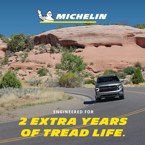 Llantas, Tires llanta michelin defender ltx Marca Michelin (2)