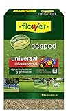 Flower 10789 - Semilla césped Universal, 1 kg