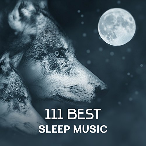 Amazon Music Deep Sleep Sanctuaryの111 Best Sleep Music Nature Sounds to Fall Asleep, Healing