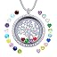 Silver (Treeoflife 01)