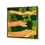 SANTA MARLA Olive Wood Moss Art