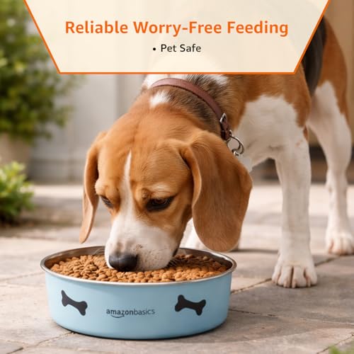 Image of Amazon Basics Stainless Steel Pet Feeding Bowls for Dog & Cats | 3 Pcs Set | Anti Slip Base | Canister & Heavy Dish Outside Blue Color with Printing | Canister 1000 ml & Heavy Dish 900 ml & 1800 ml