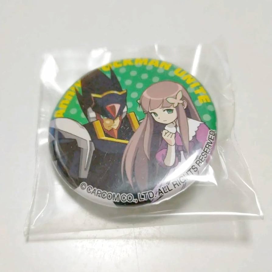 【未使用】 ロックマンエグゼ メモリアルアートパネル 駿河屋 -<中古>ロックマンエグゼ 熱斗＆ロックマン メモリアル