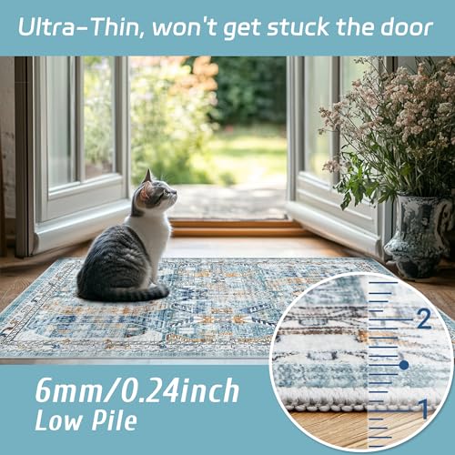 Madane Washable Area Rug 2x3, Small Entryway Rug Non-Slip Vintage Door Mat Indoor Entrance, Low Pile Floor Carpet for Inside Front Door Bedroom Kitchen Entry Laundry (2'x3', Blue/Gold)