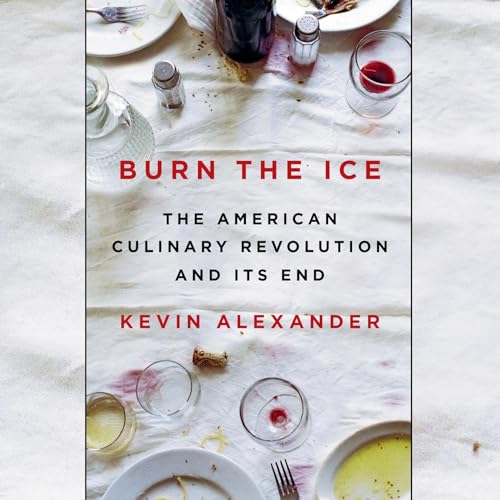 Burn the Ice by Kevin Alexander episode artwork