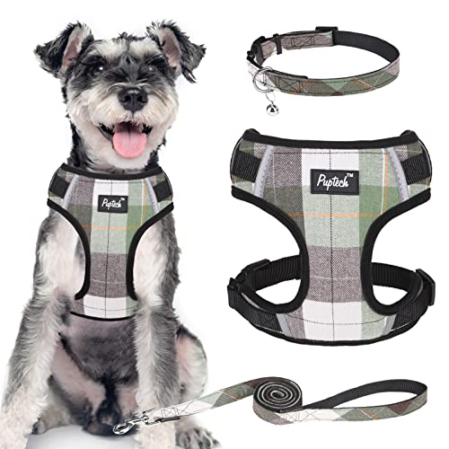 Pupteck Dog Harness And Leash Collar Set For Small Dogs Fully Adjustable No Pull Reflective Puppy Cat Soft Mesh Plaid Harnesses, Green Xs #TOP18