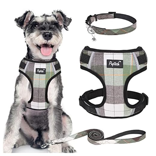 PUPTECK Dog Harness and Leash Collar Set for Small Medium Dogs Puppy and Cats Walking No Pull Adjustable Reflective Soft Mesh Padded Plaid Harnesses Pet Accessories, Green, M
