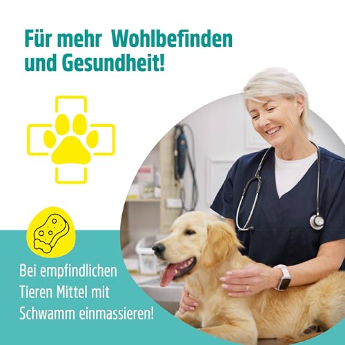 Green Hero Mittel gegen Juckreiz bei Milben 500 ml für Hunde & Katzen | Haustierpflege Spray unterstützt den Regenerationsprozess bei Grasmilben Milben Räude Reizungen Läusen Anti Juckreiz