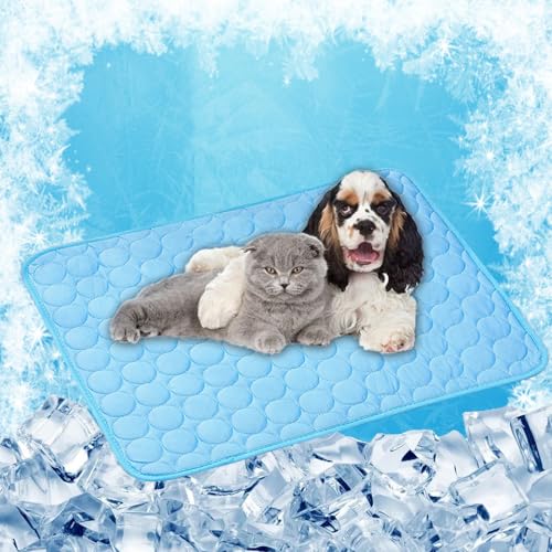 ybgpV[c ⊴ V[cybgЂ}L 70 x 55 cm MǑ΍lԌpN}h􂦂܂݉WFr⊴LЂڐGx, u[