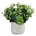 ENOVA FLORAL Fake Potted Plant, Artificial Eucalyptus Plants in Ceramic Pots, Small Fake Plants for Shelf, Living Room, Bathroom, Home Decor Indoor