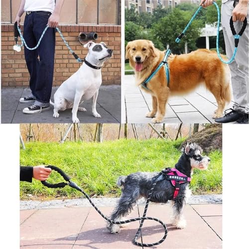 Longe de chien pour balade nocturne en toute sécurité - 4