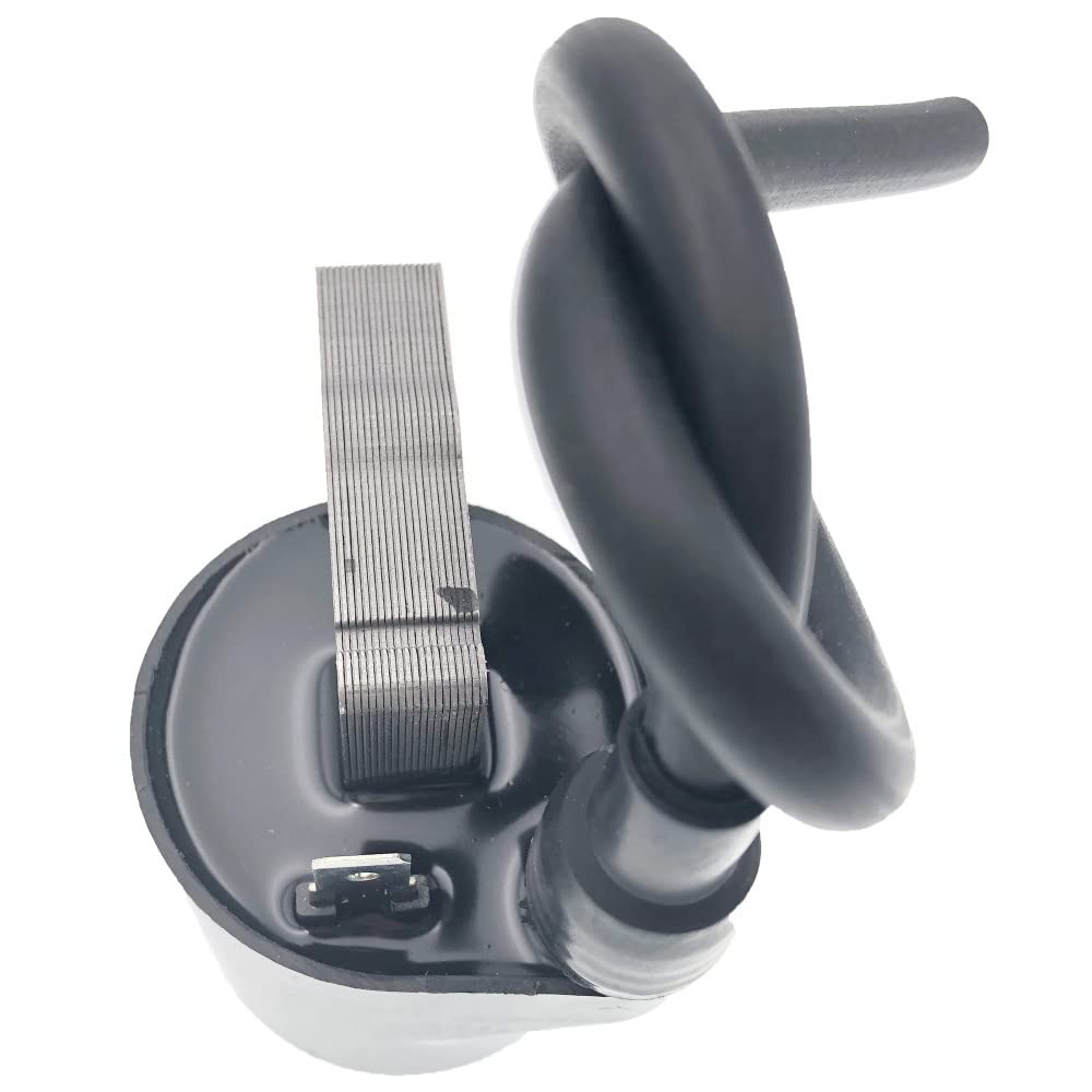 Amazon.com: Realman 21121-2070 AM109209 Ignition Coil with F7TC