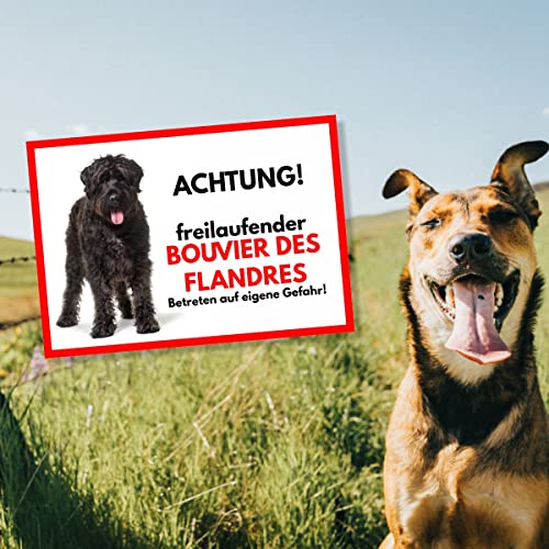 Bouvier Des Flandres Freilaufender Hund Dog Schild Spruch Türschild Hundeschild Warnschild Geschenkidee Sicherheitsschild Hund Privatgrundstück Hundewarnung Warnung vor dem Hund