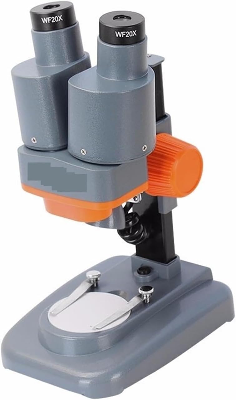 errer 球根付きミニチューリップ 壁掛け 樹脂標本 植物標本