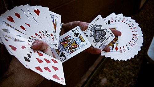 Amazon.co.jp: 1 Deck of Tally Ho No 9 Circle Back Standard Playing