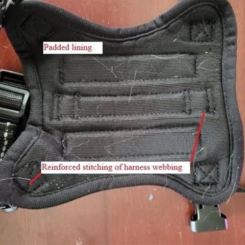 Verstellbares Haustiergeschirr – Katzen-Gehhilfe, ausbruchsicher, reflektierende Streifen, Anti-Flucht-Trainingshalsband, weiches Haustierzubehör für Welpen, Kätzchen, Outdoor