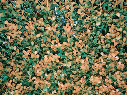 Image of Wall Grass (2 Pcs), Artificial Grass for Wall Decoration, Vertical Garden Artificial Mat, Artificial Grass Tiles for Balcony and Garden (Purple, 50cm x 50cm x 8cm, Plastic, Pack of 2)