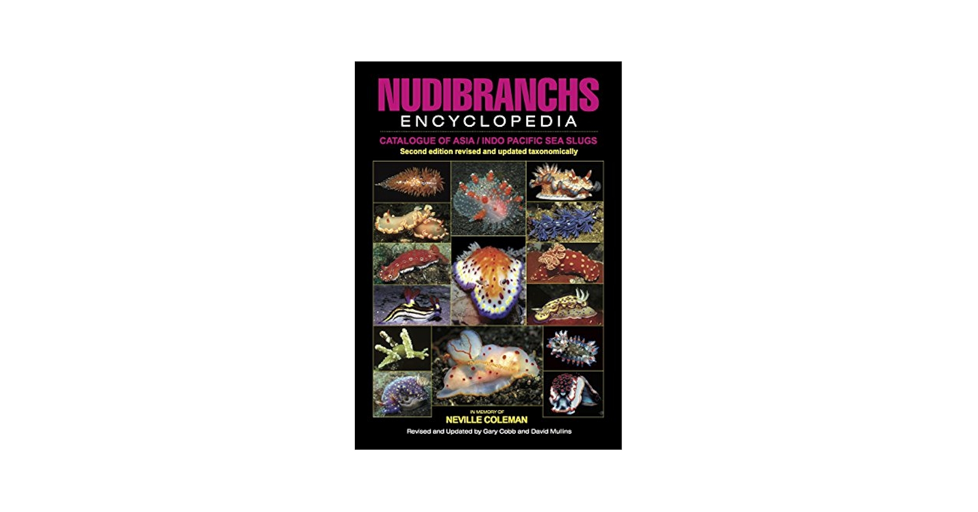 ウミウシガイドブック　洋書　美品　Nudibranchs Nudibranchs Encyclopedia: Catalogue of Asia / Indo Pacific