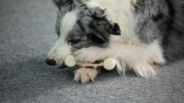 Wishbone Durable Dog Chew Toy For Aggressive Chewers, Real Chicken, Made In USA, - Durable Dog Chew - Foto 14