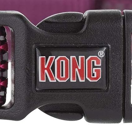 kong padded collar small