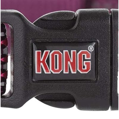 kong padded collar