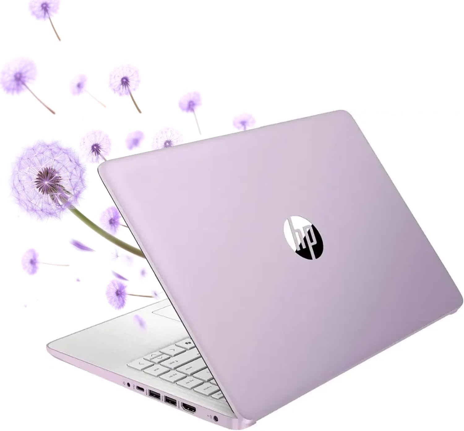 Amazon.com: HP 14