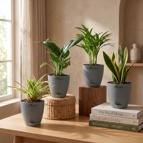 Image of Spider Plant, Peace Lily, Areca Palm & Snake Plant Live Indoor 4-Plant Combo in 4-Inch Self-Watering Matte Grey Pots | Air-Purifying Oxygen Plants for Bedroom, Living Room & Office Decor