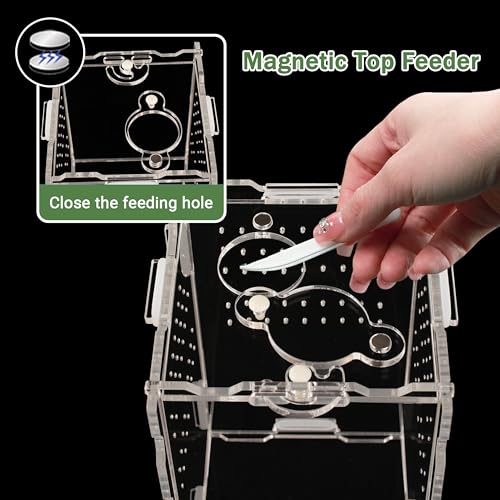 Image of Jumping Spider Enclosure 5.1 inchx3.1 inchx3.1 inch - Magnetic Locking Lid, Front Opening Door, Feeding Port, Easy Assembly Habitat for Tarantula, Mantis, Small Reptiles (Accessories Not Included)