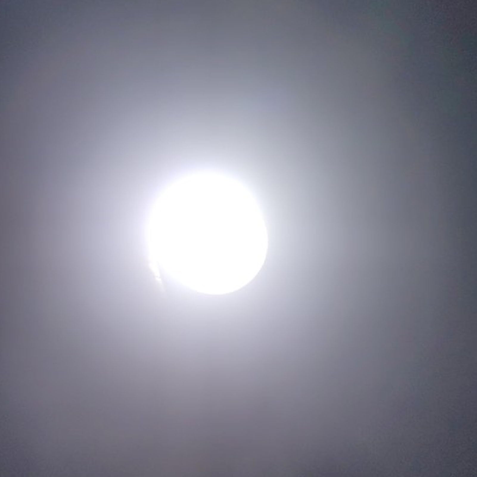 View 7