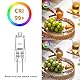 Rpanle G4 Halogen Bulbs, Clear Capsule 10W 12V 3000K Warm White Light, for Cooker Lighting, Signal Lights, Track Lighting (10 Pack)