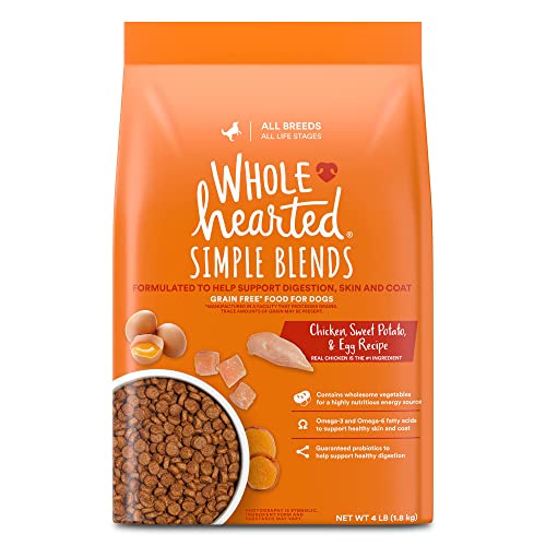 Discover the Best Dog Food Brands Petco Has to Offer Our Top 10 Picks