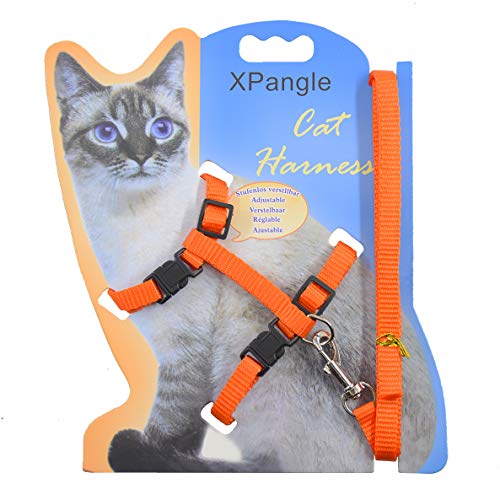reddit cat harness