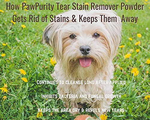 Tear Stain Remover Powder for Dogs & Cats โ 2 oz | Gently Treats The Cause of Staining | 100% Natural, Safe | Keeps Pet Eye Area Clean and Dry | The Trusted Choice for Pet Owners Tear Stain Remover Powder for Dogs & Cats โ 2 oz | Gently Treats The Cause of Staining | 100% Natural, Safe | Keeps Pet Eye Area Clean and Dry | The Trusted Choice for Pet Owners