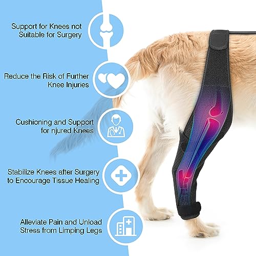 Image of Dog ACL Knee Brace for Pet Recovery, Adjustable Straps, Universal Fit, Supportive and Comfortable, for Small, Medium, Large Dogs (X-Large, Black Right)