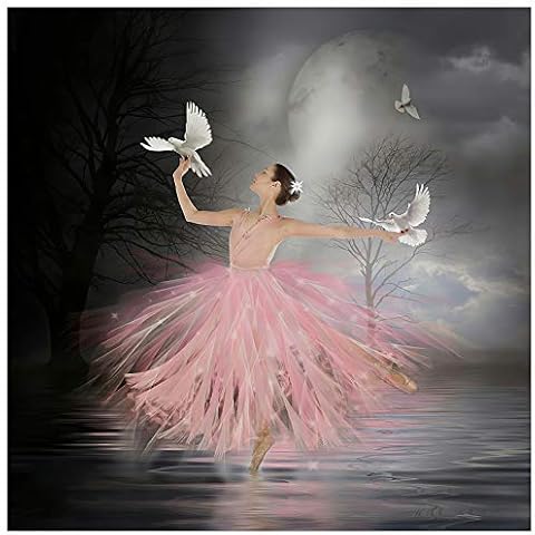DIY 5D Diamond Painting Ballet Girl pattern Picture Full Round Drill Rhinestone Picture Home Decor Mosaic Resin Kit for Cartoon Paintings Crystal Art Craft Cross Stitch Embroidery Decoration 30*30CM Cover