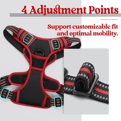 Image of rabbitgoo Dog Harness No Pull with 2 Leash Clips, Adjustable Soft Padded, Reflective Oxford No Choke Pet Vest with Easy Control Handle for Large Dogs, Black & Red, L
