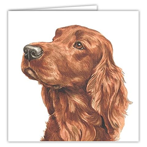 Irish Setter Art Card / Greetings Card (AC-18) Cover