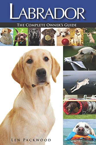 Télécharger Labrador: The Complete Owners Guide Livre PDF Gratuit