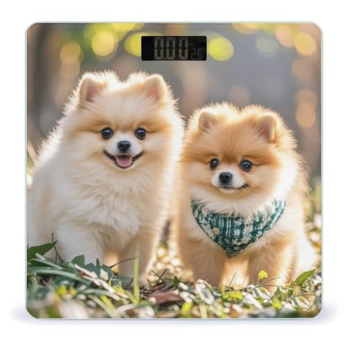 Báscula digital para baño Pomeranian Puppies miniatura 1