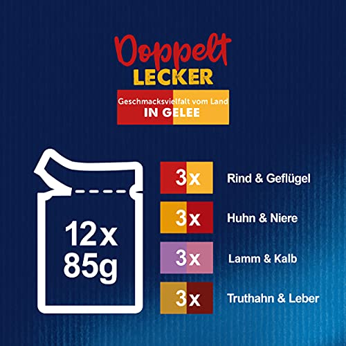 Felix So gut wie es aussieht Doppelt Lecker Katzenfutter nass in Gelee, Sorten-Mix, 6er Pack (6 x 12 Beutel à 85g)