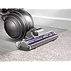 Dyson DC65 Animal Upright Vacuum Cleaner