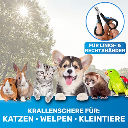 BluePet Mini Krallenschere für Katzen, Hunde, Kaninchen & Welpen I Einfach & Sicher bei engsitzenden Katzenkrallen I Kleiner Krallenschneider & Nagelschere I Nagelschneider + Krallenpflege Tier