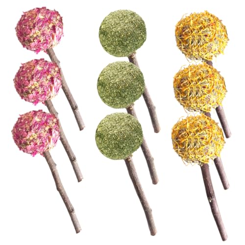 ibasenice 9個 ペット用噛むおもちゃ うさぎ モルモット チンチラ対応 口腔ケア促進 歯固めスティック 多機能小動物用咀嚼