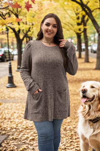 Image of OFEEFAN Long Sleeve Shirts for Women Long Sweaters with Pockets Tunic Tops Loose Fit