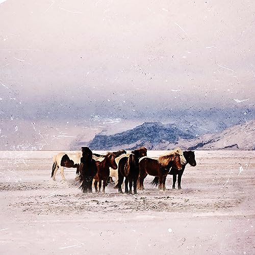 Bára Bjarkardóttir